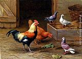 Chickens Wall Art - Chickens, Pigeons and a Dove